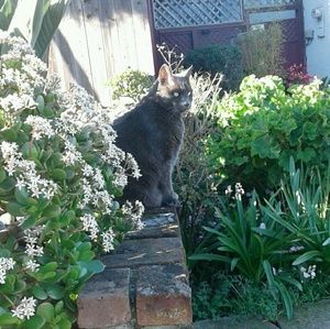 Meet your Posher, Valerie